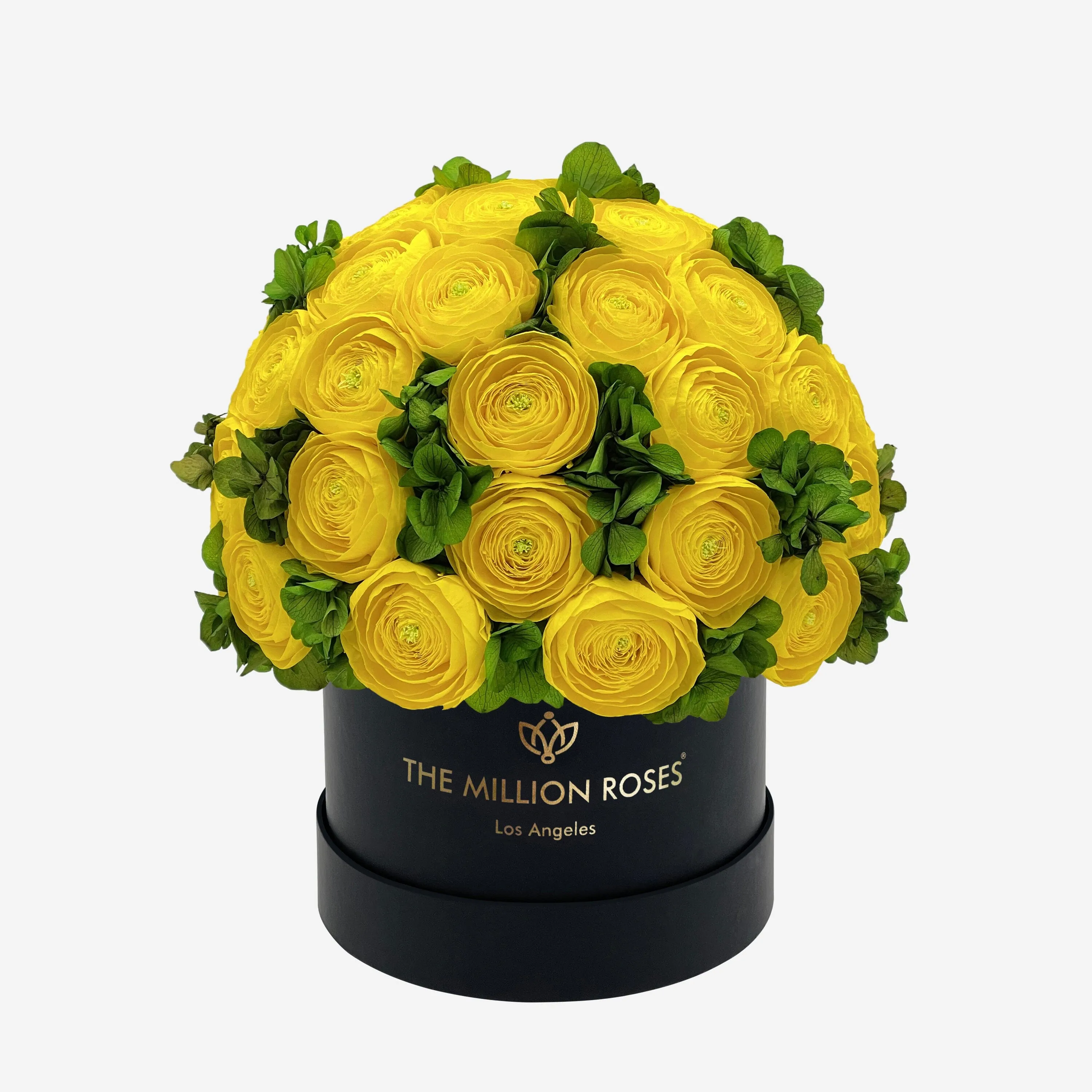 Classic Black Box | Yellow Persian Buttercups & Green Hydrangeas