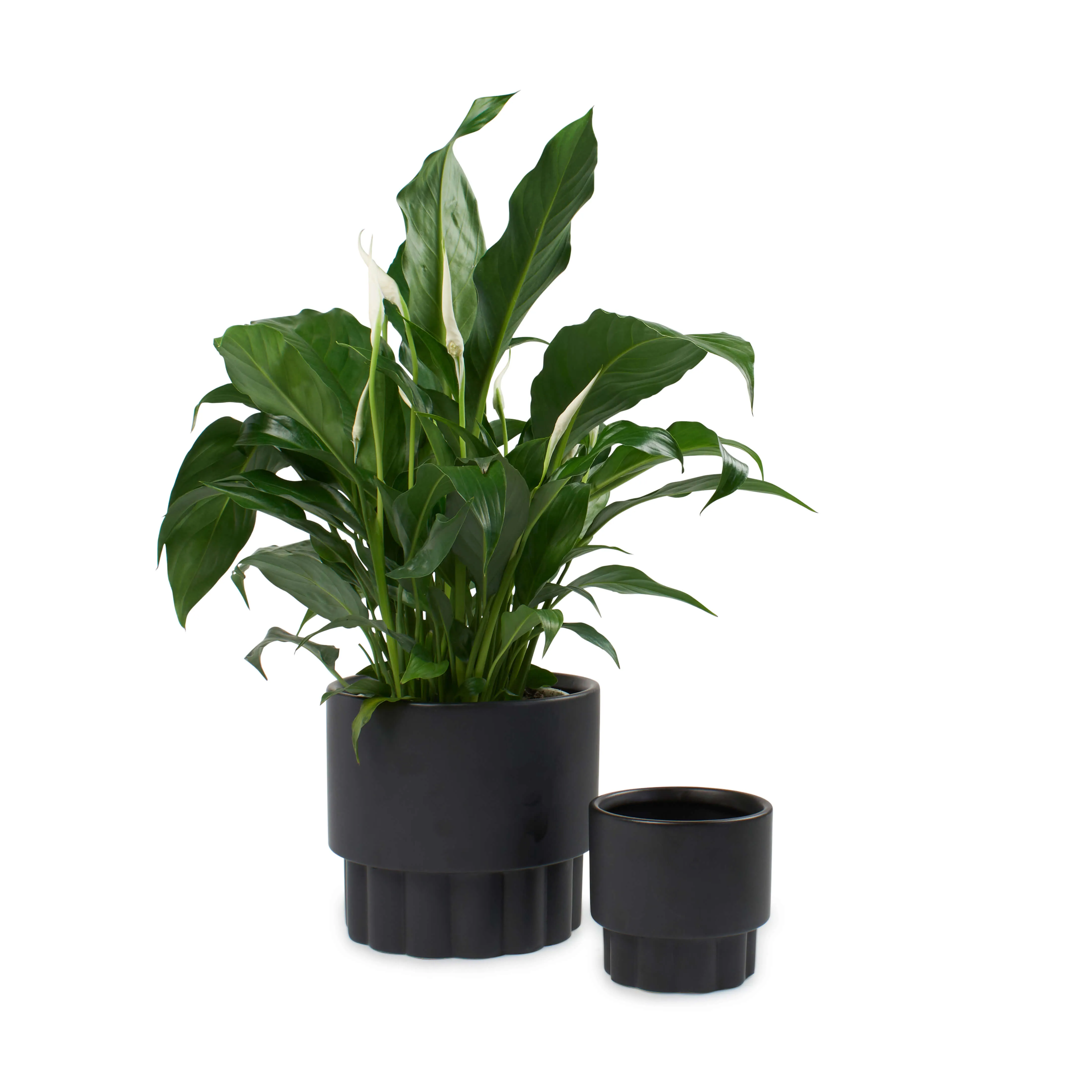 Ryan Planter - 2 Piece - Black